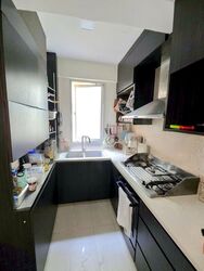 Parkshore (D15), Condominium #484451461